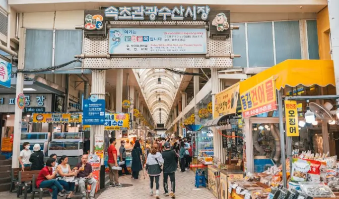 Sokcho 3-hour Taxi Tour