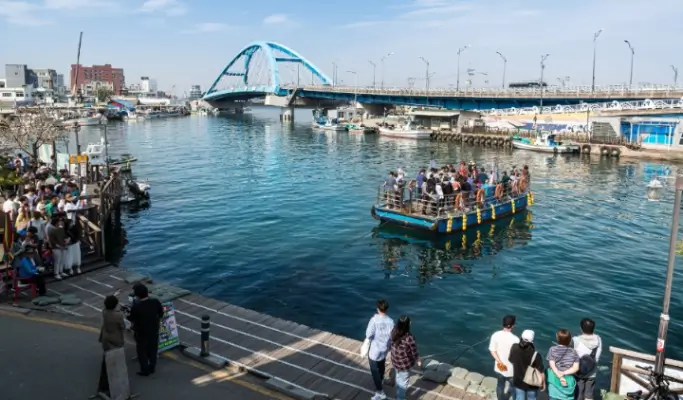Sokcho 3-hour Taxi Tour