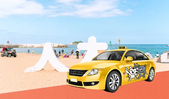 Sokcho 3-hour Taxi Tour