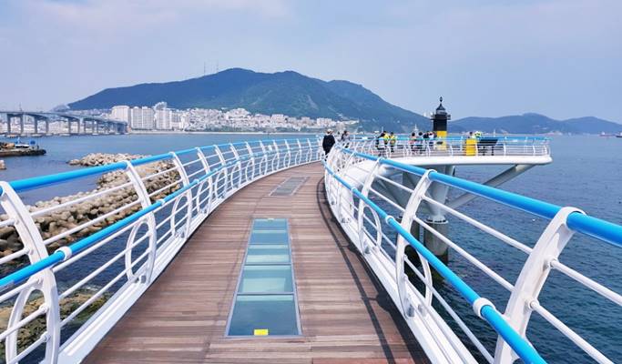 Busan Tour: Gamcheon Culture Village + Songdo Skywalk + Dadaepo Beach ...