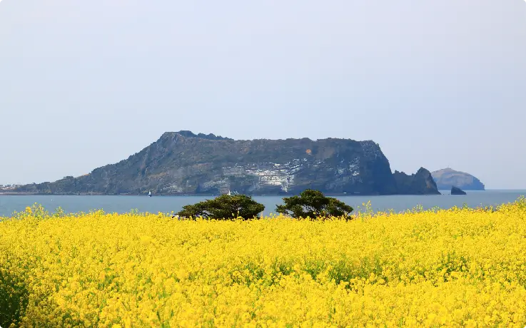 Seongsan Ilchulbong Sunrise Peak with cliffs and coastal scenery in Jeju.
