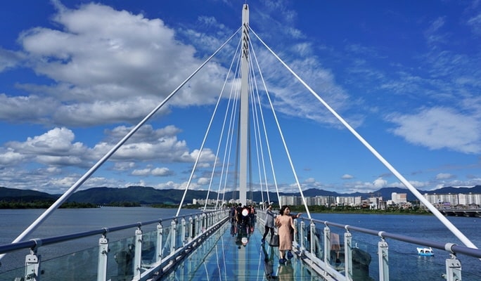 Nami Island + Alpaca World + Garden of Morning Calm + Soyanggang Skywalk Tour