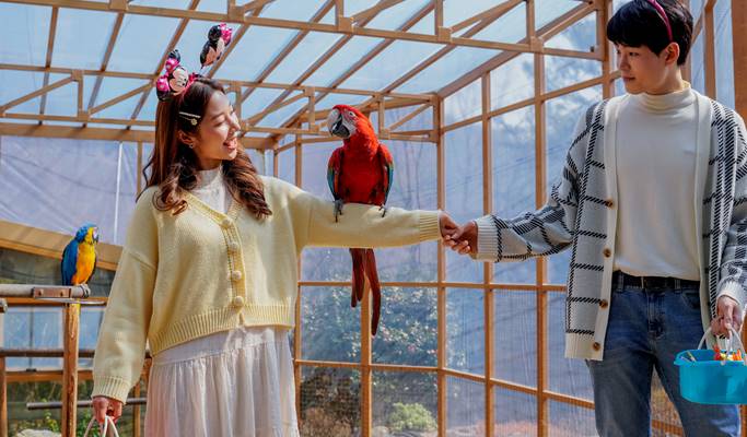 Daegu Spa Valley Nature Park (Indoor/Outdoor Zoo) Discount Ticket