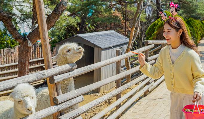 Daegu Spa Valley Nature Park (Indoor/Outdoor Zoo) Discount Ticket