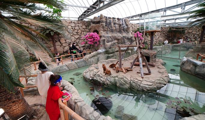 Daegu Spa Valley Nature Park (Indoor/Outdoor Zoo) Discount Ticket