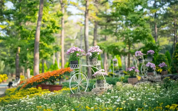Spring blooms and landscaped gardens at Hallim Park, Jeju.