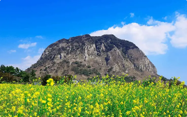 Sanbangsan Mountain with green slopes and ocean view in Jeju.