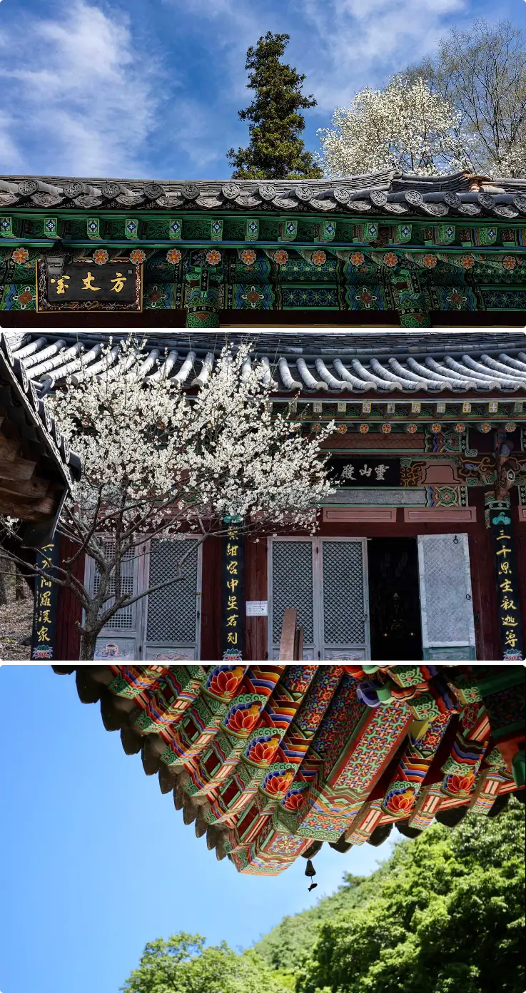 Ssanggyesa Temple surrounded by cherry blossoms in Hwagae during spring
