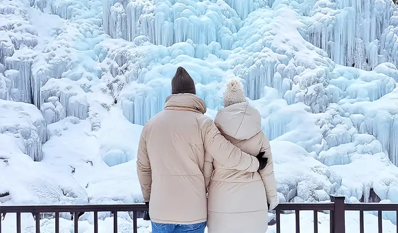 Nami Island + Eobi Ice Valley Tour (+ Garden of Morning Calm/ Rail Bike/ Petite France/ Alpaca World options) - view 1