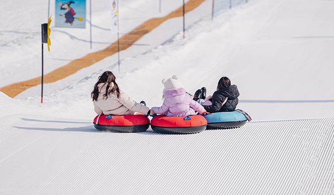 Elysian Gangchon Ski Resort (Ski/ Snowboard/ Snow Sled) + Eobi Ice Valley 1 Day Tour - from Seoul