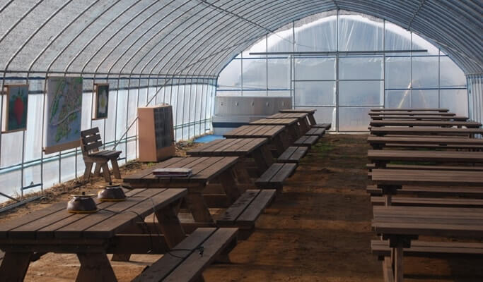 Strawberry Picking Experience in Yangpyeong
