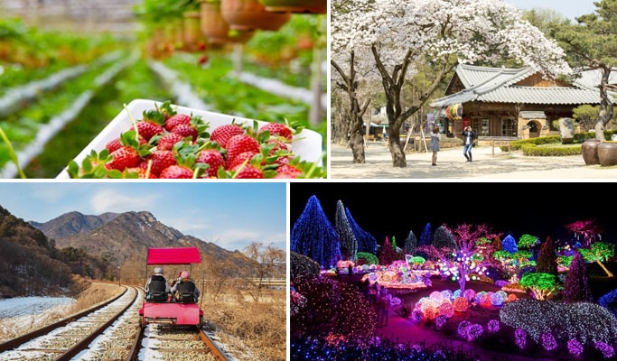Seoul Vicinity: Nami Island + Gangchon Rail Bike + Strawberry Picking (+ Garden of Morning Calm) 1 Day Tour