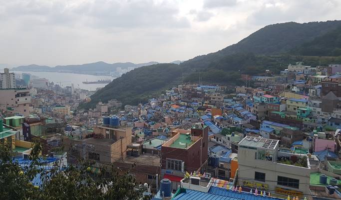 Busan 1 Day Tour: Strawberry Picking + Gamcheon Culture Village (+ Taejongdae option) (Dec 20~May 15)