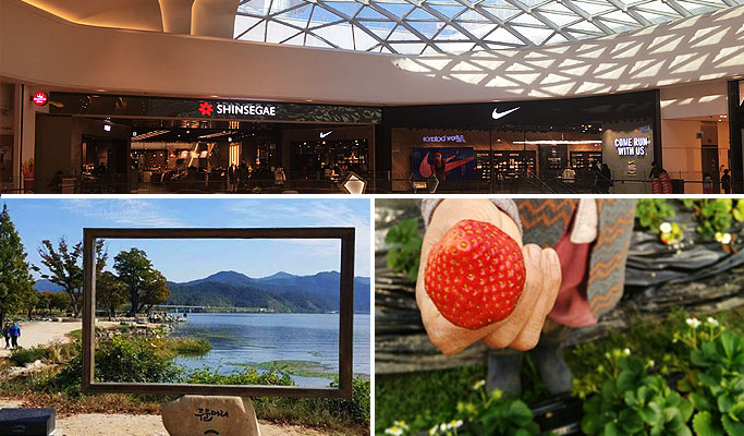 Strawberry Picking + Dumulmeori + Starfield Hanam/Lotte World 1 Day Tour