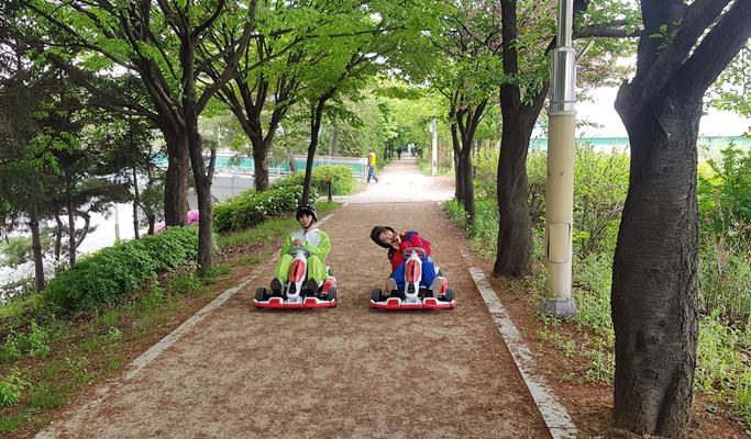 Street Go-Karting Experience in Seoul (+ Costume Rental)