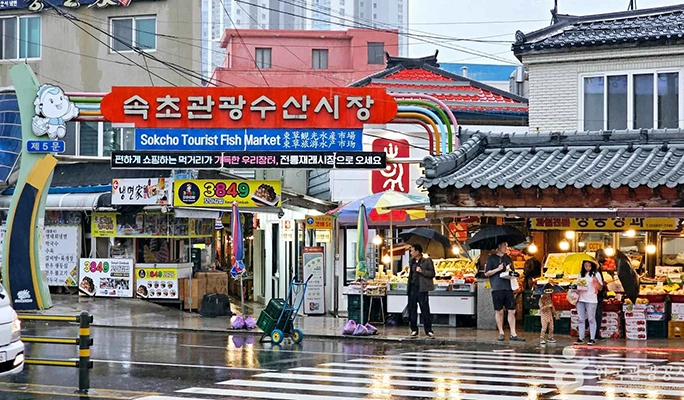 Summer Special: BTS Military Discharge Celebration Tour along the East Sea Coast from Seoul (Jun 9~Aug 28)