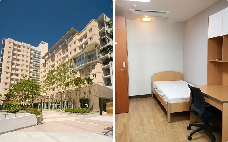 Dormitory of K-Summer Camp