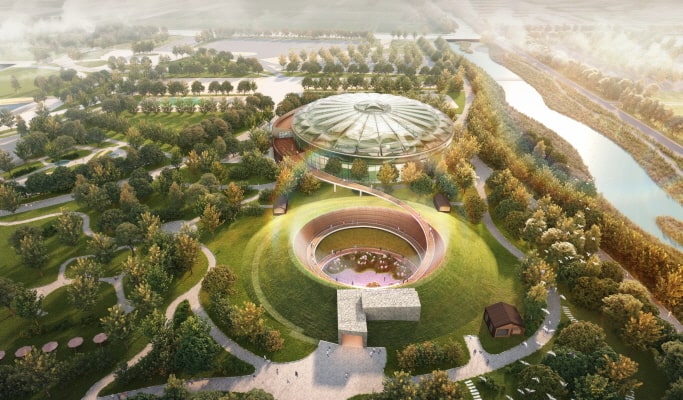 Suncheon Bay International Garden Expo 1 Day Tour - From Busan (Jun~Oct)