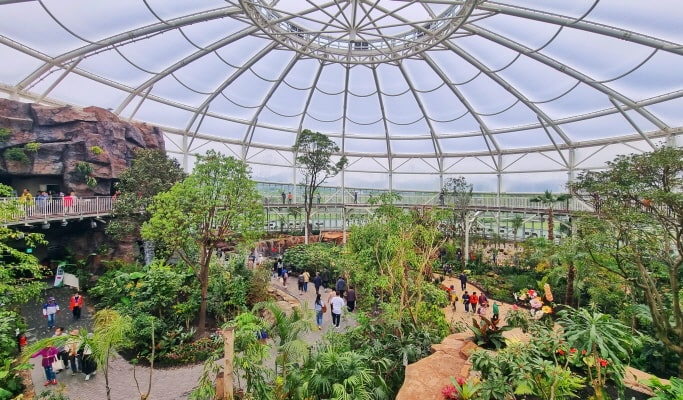 Suncheon Bay International Garden Expo 1 Day Tour - From Busan (Jun~Oct)