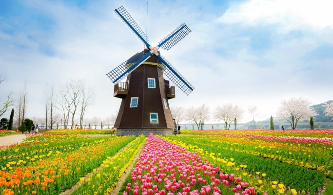 Suncheon Bay International Garden Expo 1 Day Tour - From Busan (Jun~Oct)