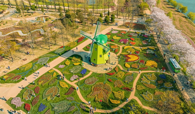 Suncheon Bay International Garden Expo 1 Day Tour - From Busan (Jun~Oct)