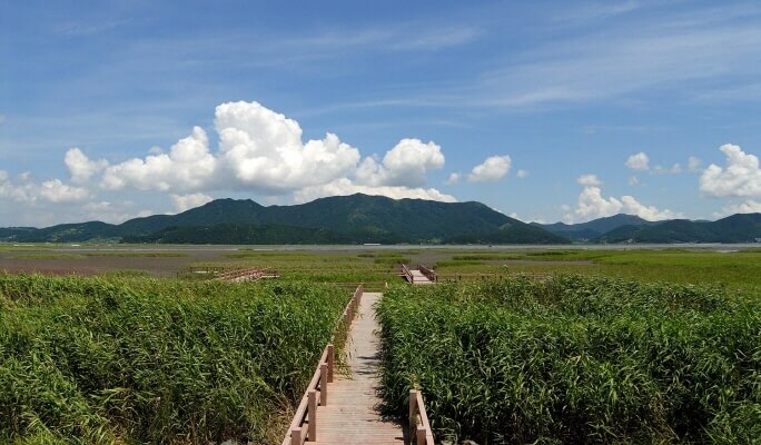 首爾/釜山 寶城綠茶園＆順天灣私人一日遊