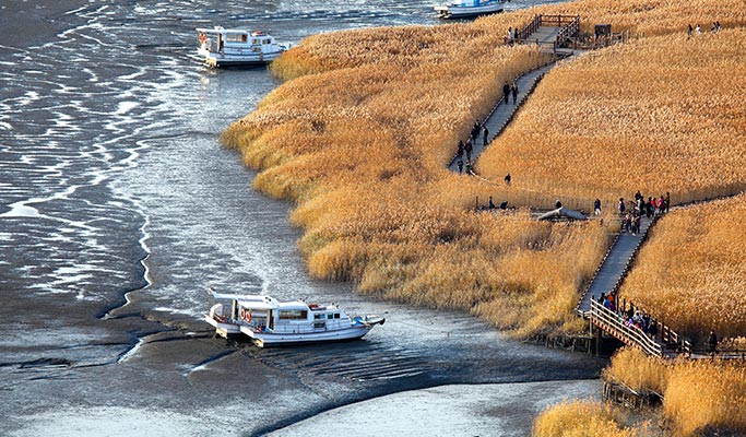 [UNESCO World Heritage] Suncheon Getbol (Tidal Flat) Tour from Busan
