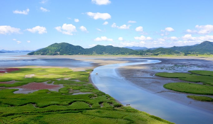 Suncheon Bay International Garden Expo 1 Day Tour - From Busan (Jun~Oct)