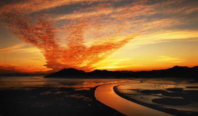 Suncheon Bay International Garden Expo 1 Day Tour - From Busan (Jun~Oct)