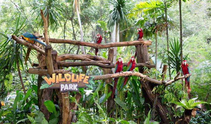 Kuala Lumpur Sunway Lagoon Theme Park Discount Ticket