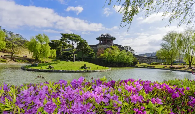 Suwon Hwaseong Fortress + Haengnidan-gil Street + Starfield 1 Day Tour - from Seoul