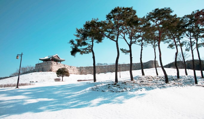 水原華城 & 德裕山國立公園一日遊 - 首爾出發（12 月 15 日 ~ 2 月 28 日）