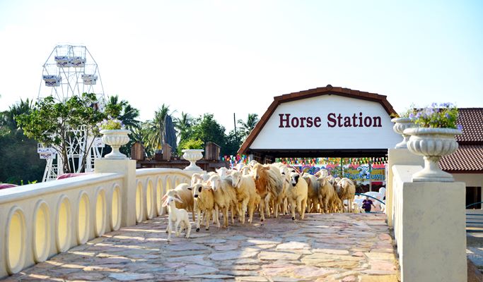 Swiss Sheep Farm Pattaya Discount Ticket (+Private Transfer option)