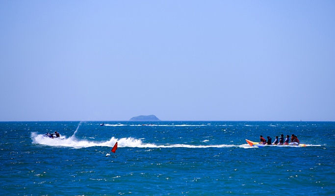 Spring Special: Taean Magnolia Festival + Mallipo Beach + Strawberry Picking 1 Day Tour - From Seoul (Apr 13~27)
