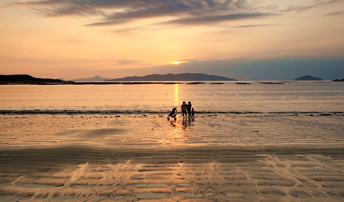 Spring Special: Taean Magnolia Festival + Mallipo Beach + Strawberry Picking 1 Day Tour - From Seoul (Apr 13~27)