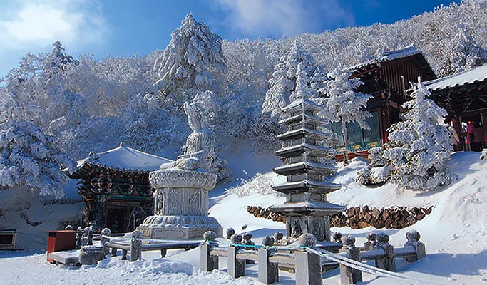 2020 Taebaeksan Mountain Snow Festival Shuttle Bus Package (Jan 11~19)