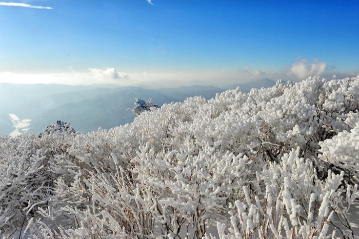2020 Taebaeksan Mountain Snow Festival Shuttle Bus Package (Jan 11~19)
