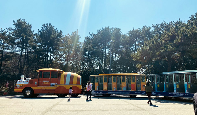 Spring Special: Busan Yeongdo Island Cherry Blossom Tour - from Busan (Mar 25~Apr 10)