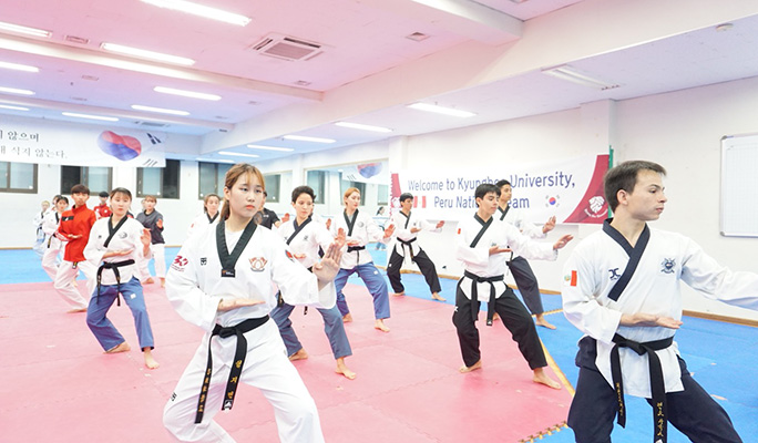 Traditional Korean Martial Arts Taekwondo Class in Gangnam, Seoul