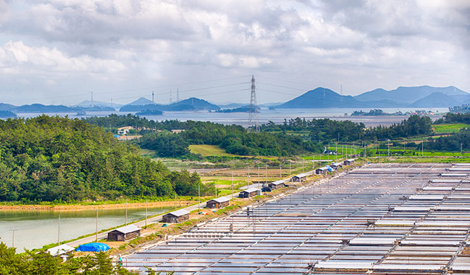 Online Virtual Gourmet Tour with Live Commentary - 6 Major Cities in Jeollanam-do Province