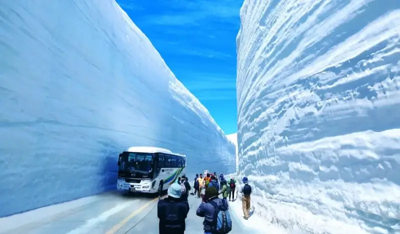 Tateyama-Kurobe Snow Walls 1 Day Tour from Nagano