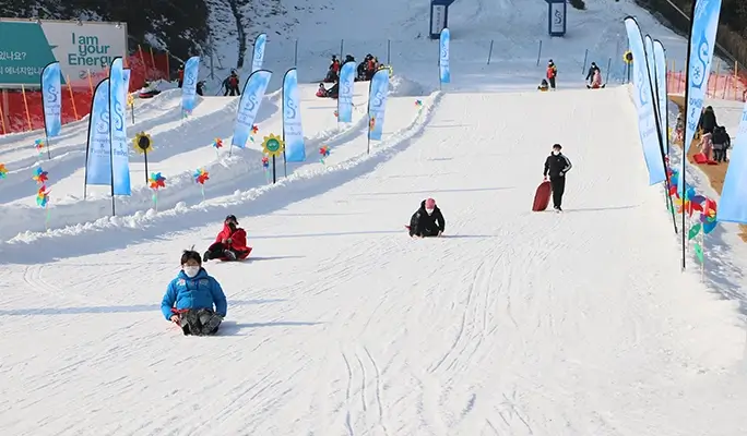 Strawberry Picking + Eobi Ice Valley (+ Nami Island/ Snow Sledding/ Garden of Morning Calm/ Rail Bike/ Petite France) 1 Day Tour