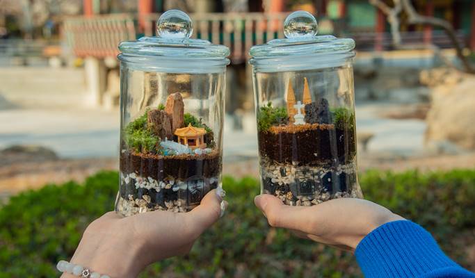 Make Your Own Terrarium 1 Day Class in Daegu