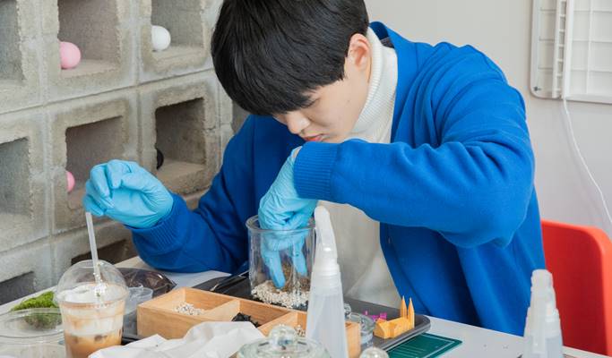 Make Your Own Terrarium 1 Day Class in Daegu
