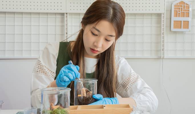 Make Your Own Terrarium 1 Day Class in Daegu
