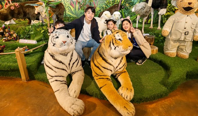 Teseum Teddy Bear Theme Park Seoul & Mirror Maze Discount Ticket