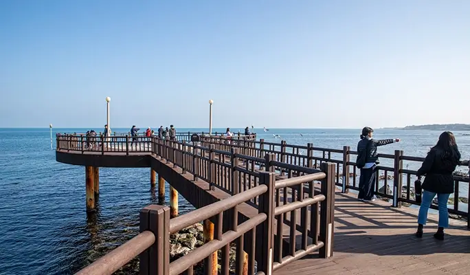 2026 New Year Countdown at Yongdusan Park & Sunrise at Homigot - from Busan (Dec 31)