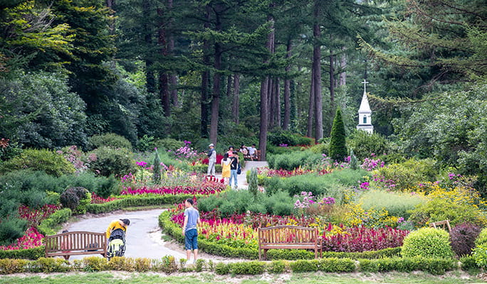 Seoul Vicinity: Nami Island + Garden of Morning Calm + Strawberry Picking 1 Day Tour