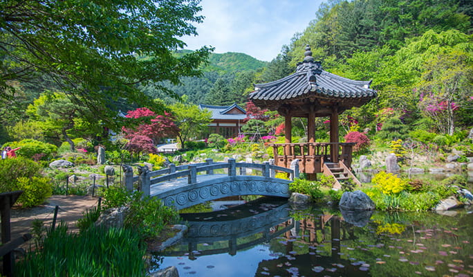 Seoul Vicinity: Nami Island + Garden of Morning Calm + Strawberry Picking 1 Day Tour