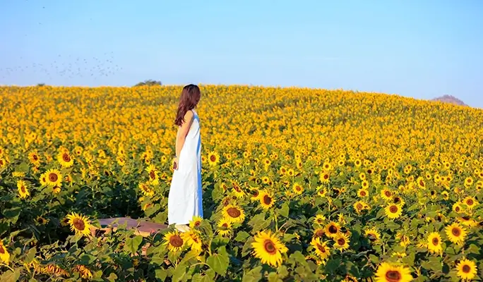 Khao Yai 1 Day Private Taxi Tour - from Bangkok